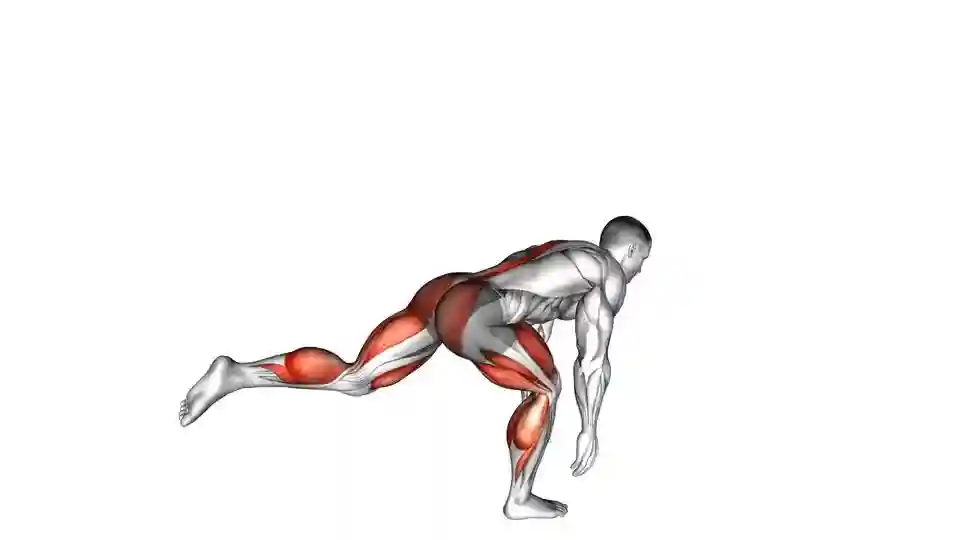 體育博彩:那些“健身有用”的時刻,都是忽然發現的